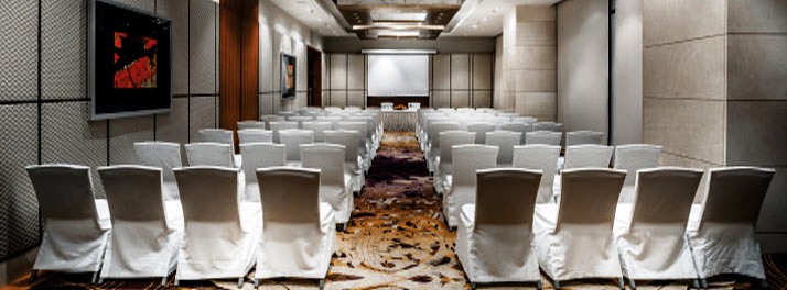 877/Hyatt - Ahmedabad 05.jpg